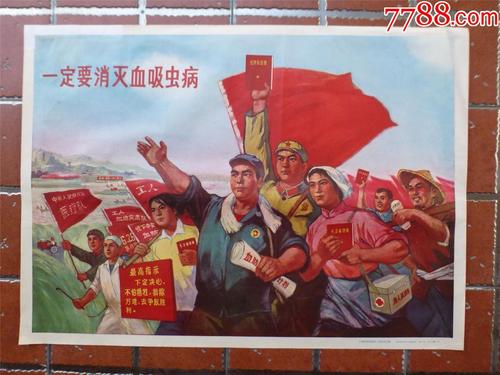 国外学历证书怎么报名教师证